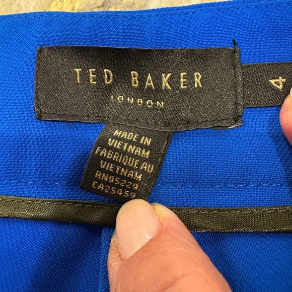 Ted Baker London Blue Stripe Pants - Picture 9 of 14